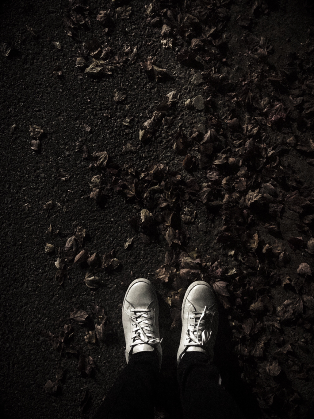 아이폰으로 찍은 C급 사진 몇 장만 올려봅니다 | 인스티즈