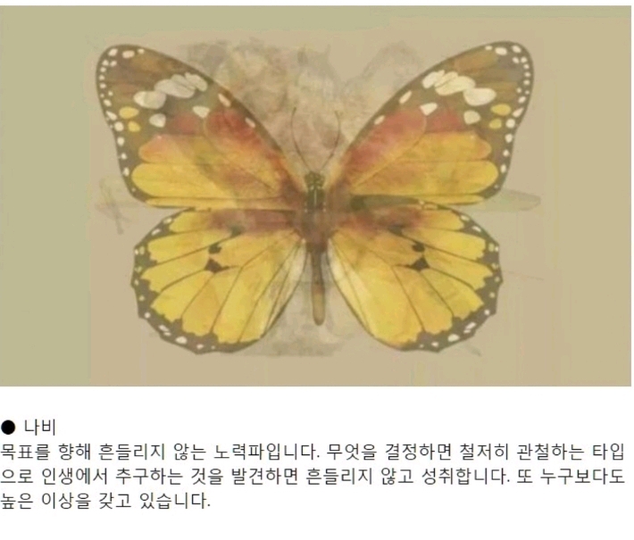 먼저 보이는 그림으로 하는 성격테스트.jpg | 인스티즈