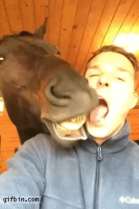 영화 악마를보았다 엑기스 | 인스티즈