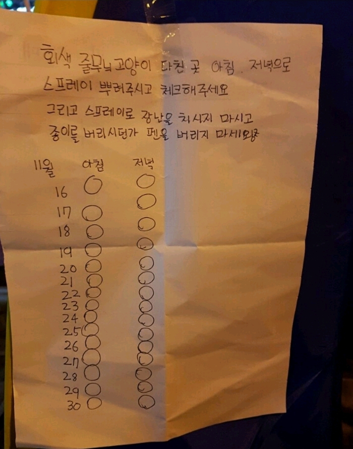 사람들이 버려진 텐트 안에 고양이를 넣어 놨다.jpg | 인스티즈