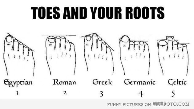 [발가락] 당신의 뿌리는 어디입니까? | 인스티즈