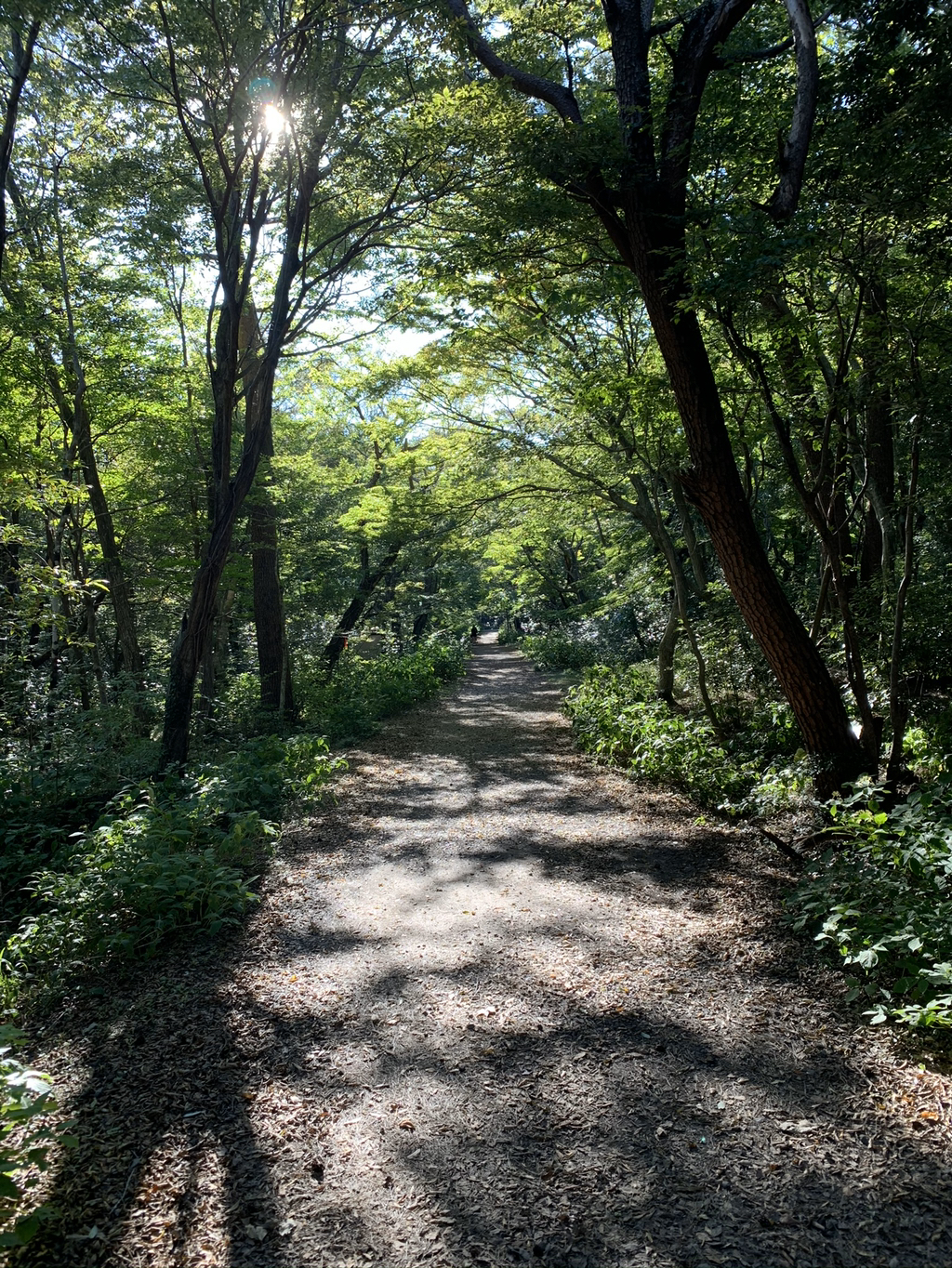 제주도 여행 마지막 날.. | 인스티즈