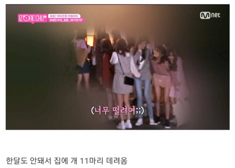 [아이즈원] 히토미.. 히쨩 미안 인생은 실전이야 | 인스티즈