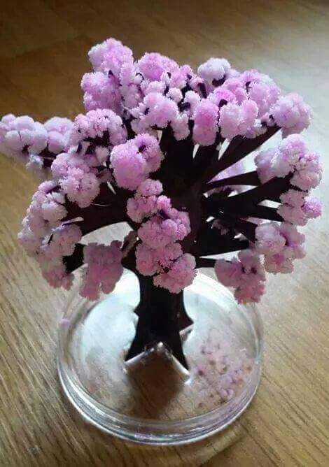 종이에서 피는 벚꽃 | 인스티즈