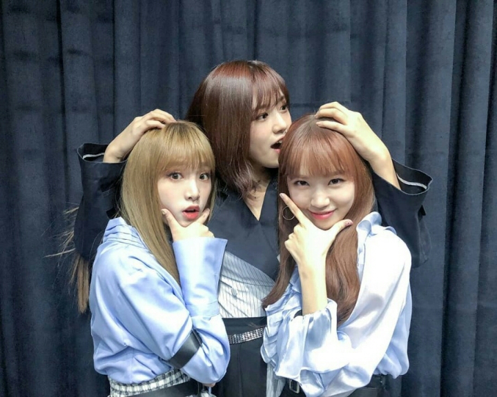 아이즈원) 기자들이 햇갈려하는 유리 예나 채원 | 인스티즈