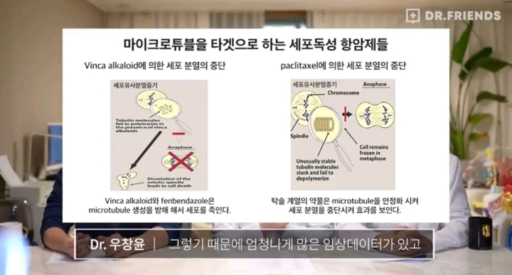의사들이 말하는 펜벤다졸 | 인스티즈