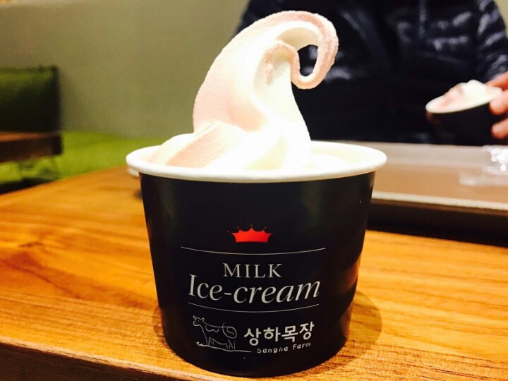 주관적인 아이스크림 맛집 중 하나.JPG | 인스티즈