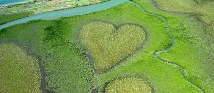 한때 한국에서 반짝 인기있었던 휴양여행지 | 인스티즈