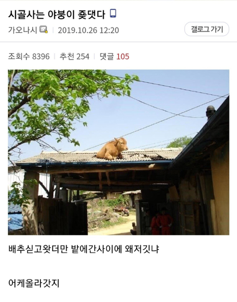 오늘자 ㅈ되버린 디시인...jpg | 인스티즈
