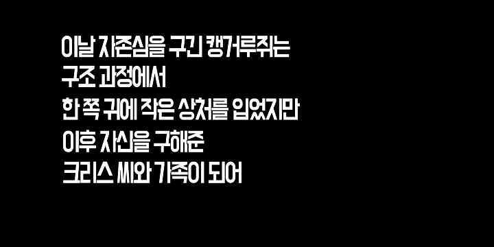 콘센트에 쥐 머리가 껴있다면? | 인스티즈