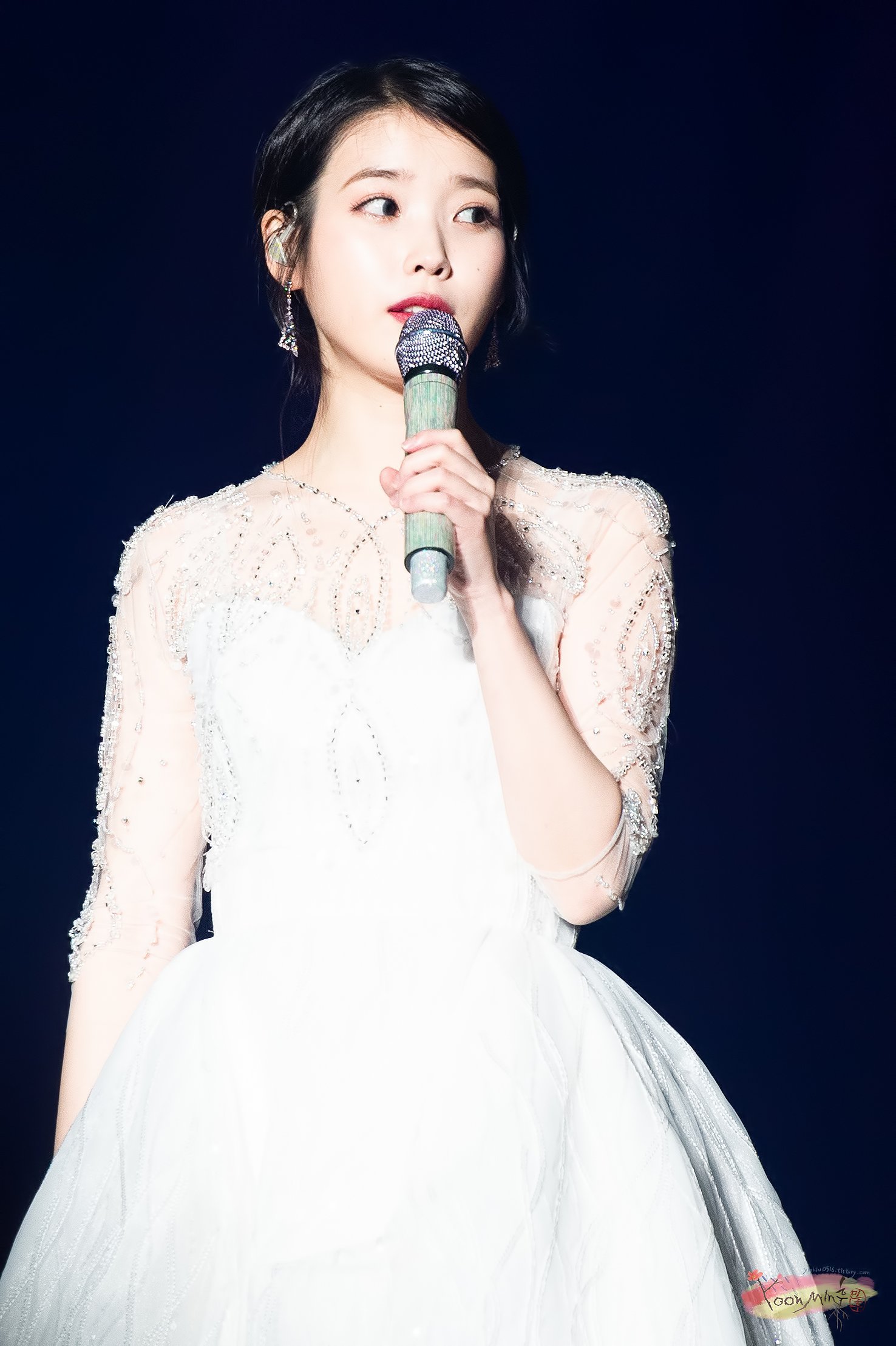 아이유 10주년 콘서트 in 서울.jpg | 인스티즈