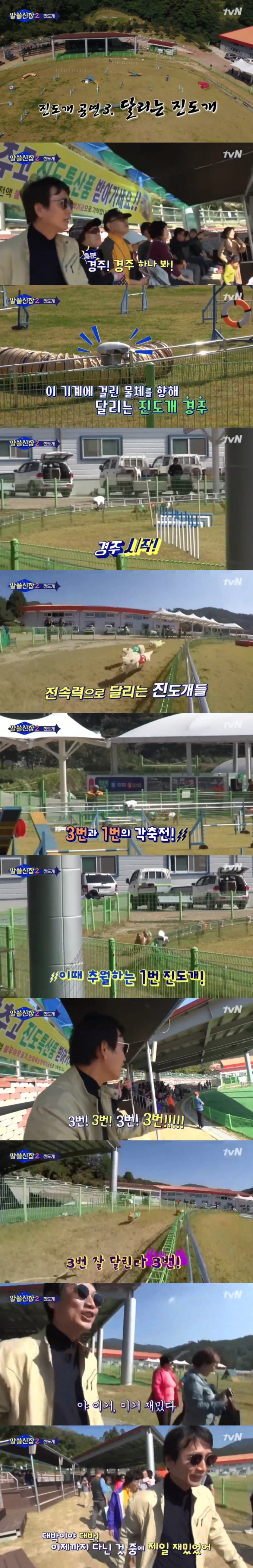 유시민 작가가 알쓸신잡에서 진도를 소개한 이유 | 인스티즈