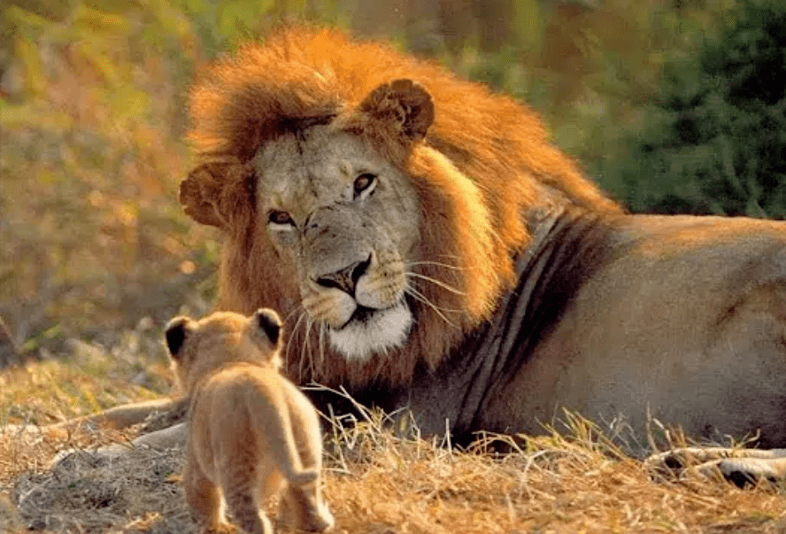내 아들이 죽지 않고 살아있는 건 귀엽기 때문 | 인스티즈