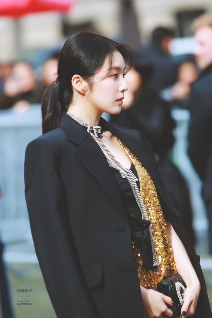 우연히(?) 다미아니 CEO와 사진찍고 파리로 이동한 레드벨벳 아이린 | 인스티즈