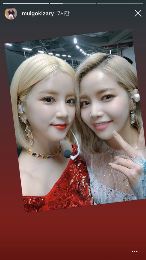 마마무 솔라 에이핑크 초롱.jpg | 인스티즈