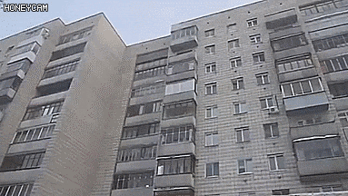 아오키지 등장.GIF | 인스티즈