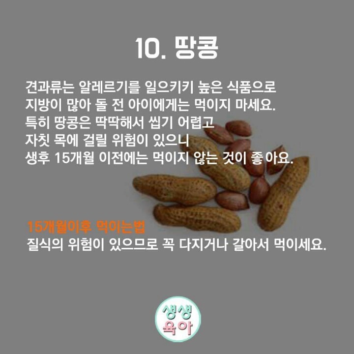 돌전에 먹이면 안되는 음식 10가지 | 인스티즈
