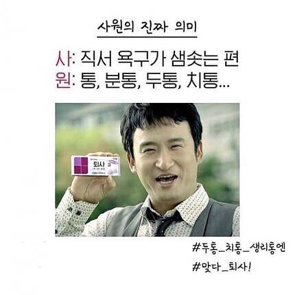 회사 직급별 진짜 의미.jpg | 인스티즈