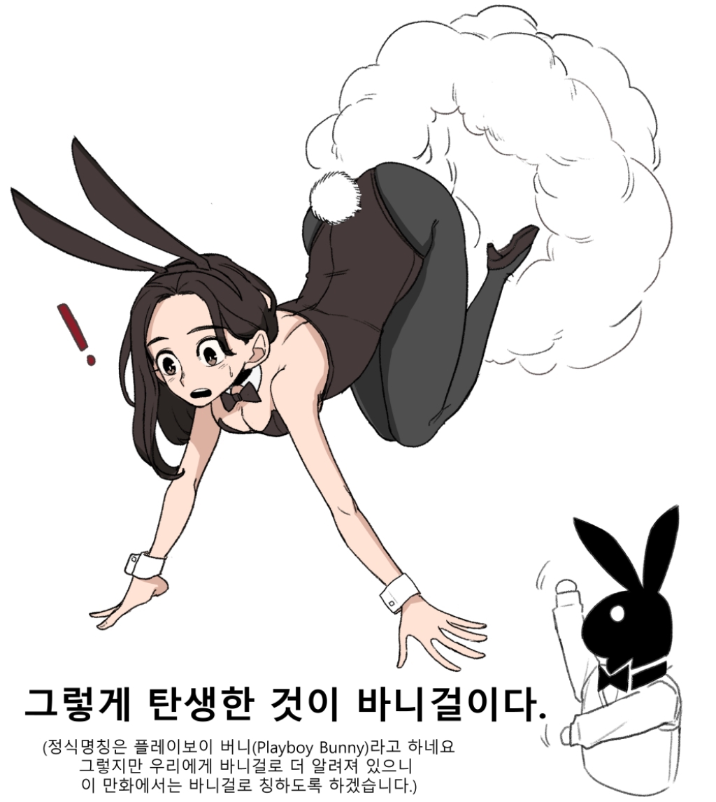 바니걸에 대해 알아보는 만화.jpg | 인스티즈