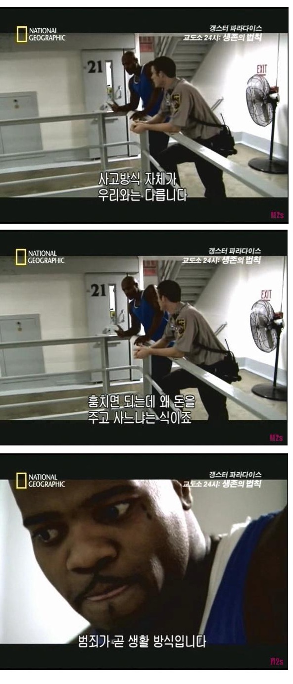 프로듀스 착한주작이라고 하는 분들 사고방식 | 인스티즈