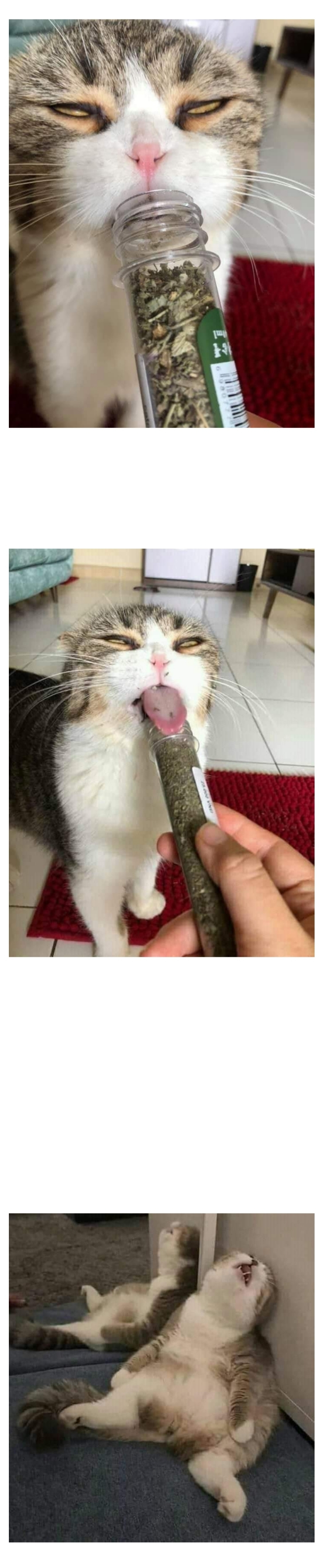 마약에 취한 상태 | 인스티즈