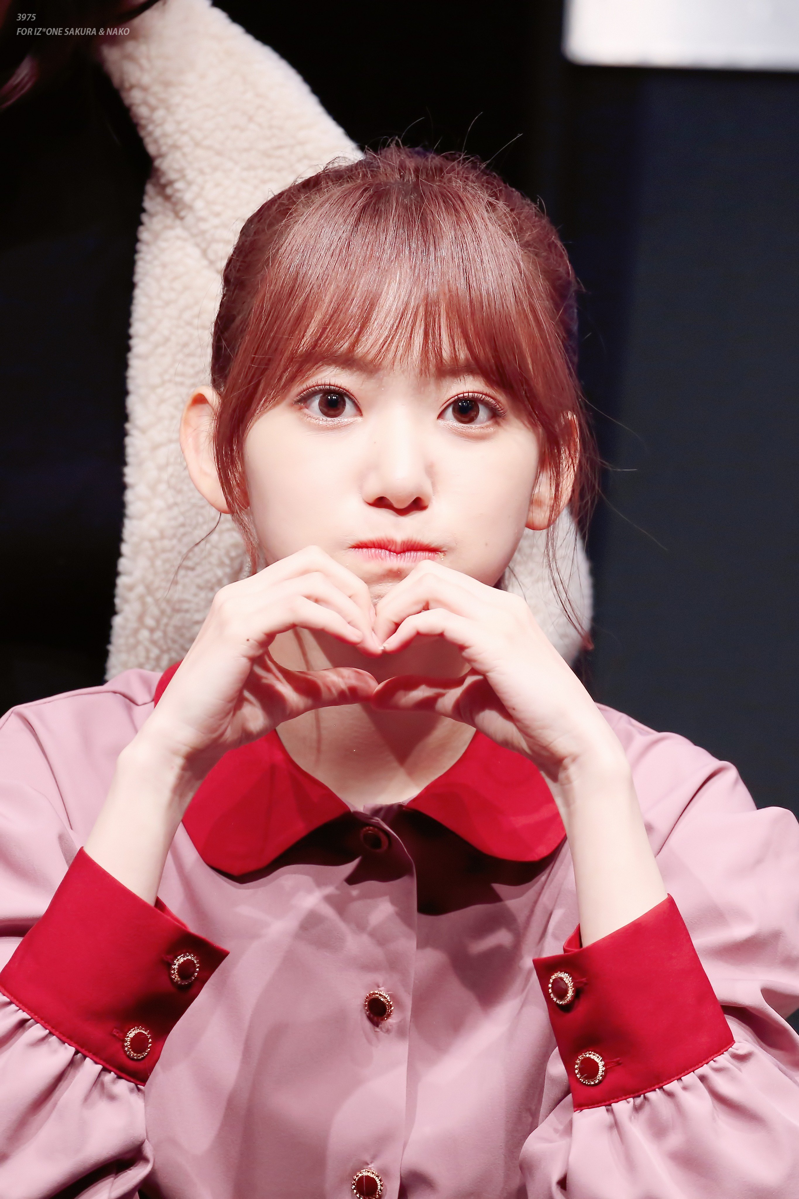 포니테일이 잘어울리는 아이즈원 사쿠라.jpg | 인스티즈