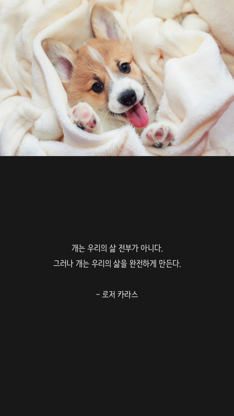 반려견에 관한 명언 | 인스티즈