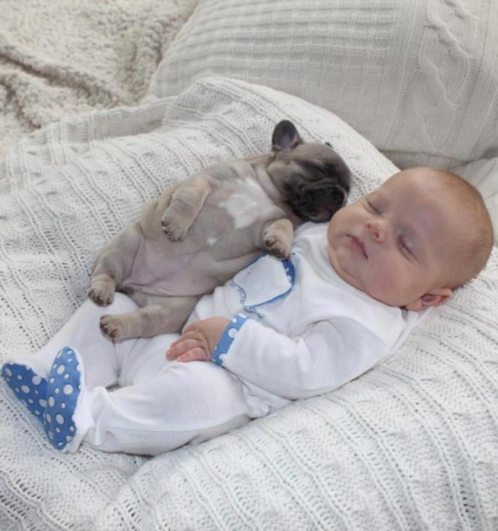 꿀잠자는 아기들.jpg | 인스티즈