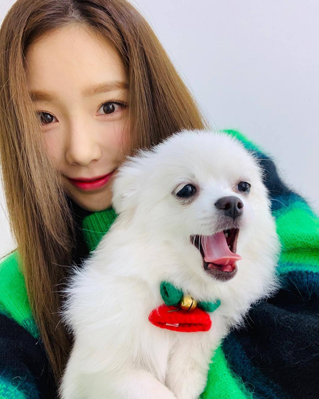 오늘자 태연 탱스타그램.jpg | 인스티즈