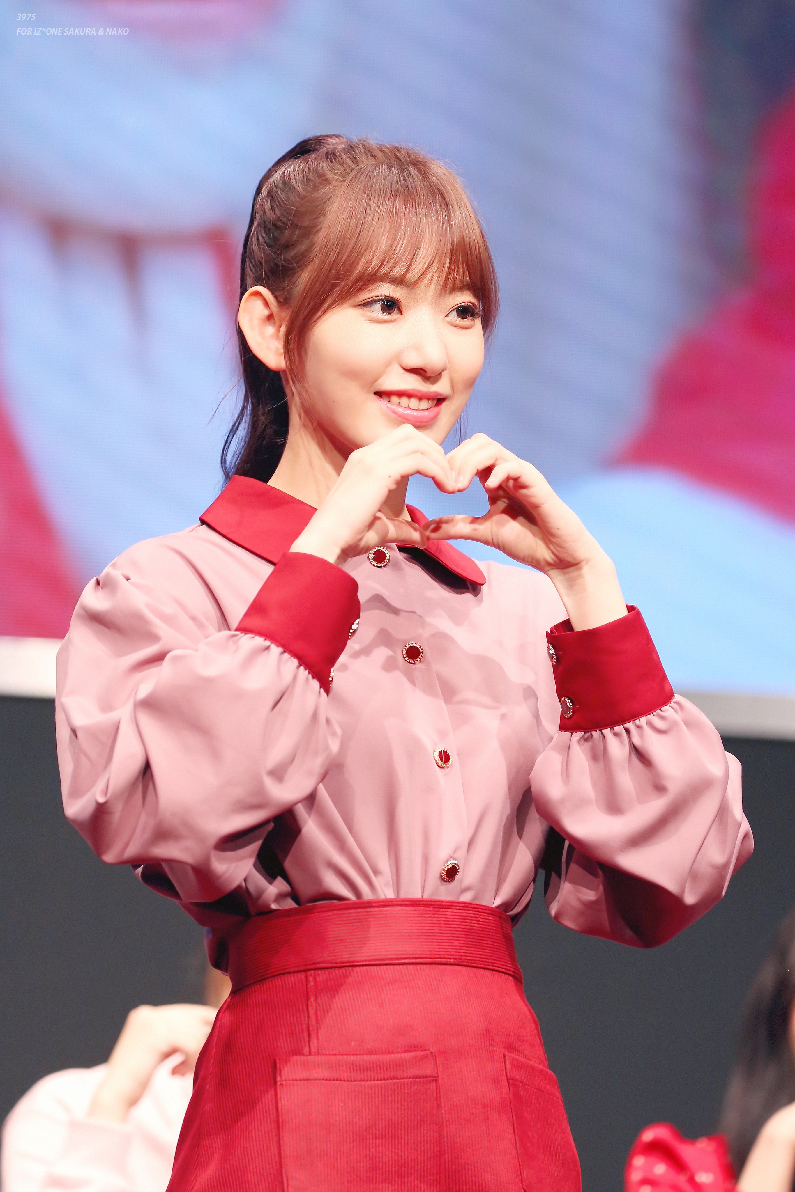 포니테일이 잘어울리는 아이즈원 사쿠라.jpg | 인스티즈