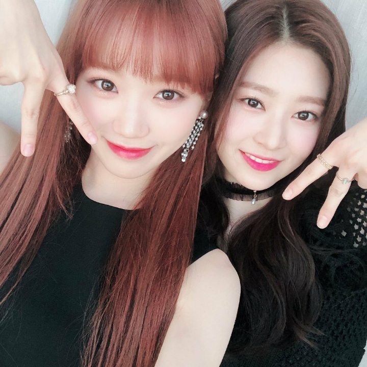 크리스마스라서 아이즈원 | 인스티즈