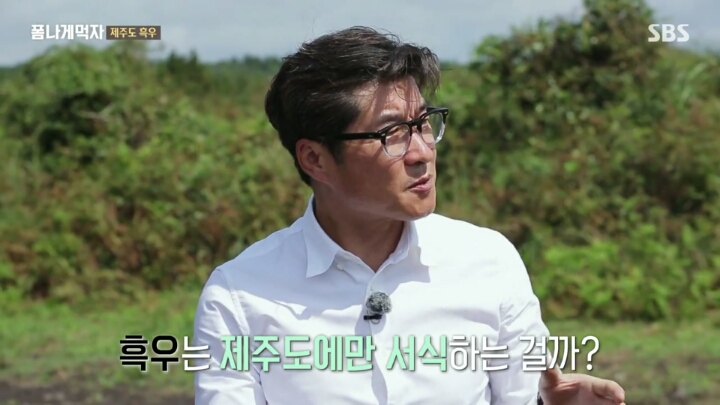 일본이 수탈해간 우리의 흑우.jpg | 인스티즈