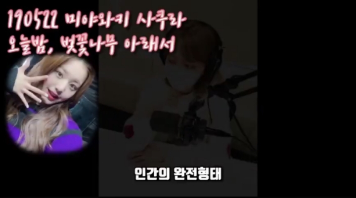 아이즈원) 사쿠라의 멤버 주접 1탄 (막내토끼 장원영) | 인스티즈