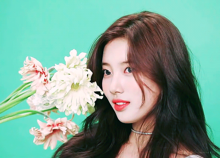 [숲포일러] 숮log-1편+2편 🎥 수지와 함께하는 싱가포르 출장기 ✈💕 | 인스티즈