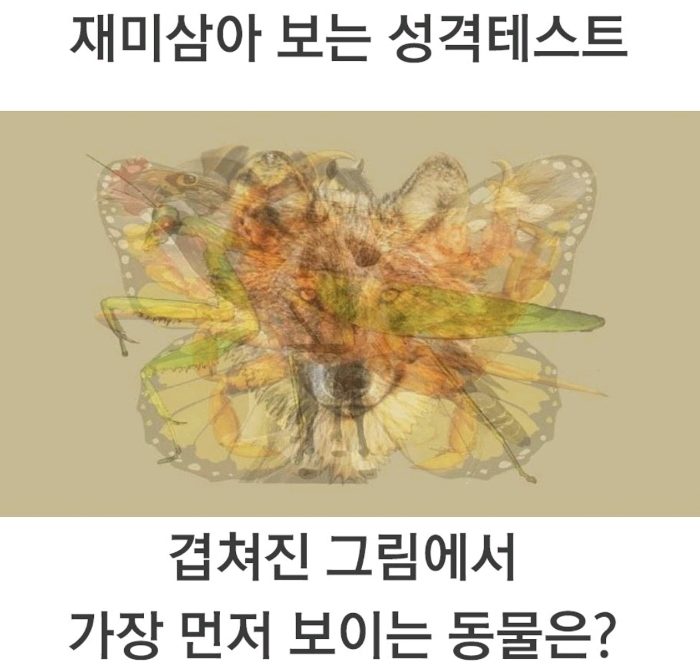 먼저 보이는 그림으로 하는 성격테스트.jpg | 인스티즈