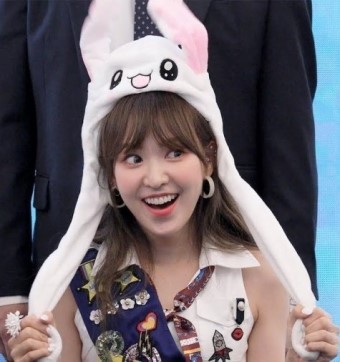 레드벨벳 최애돌.jpgif | 인스티즈