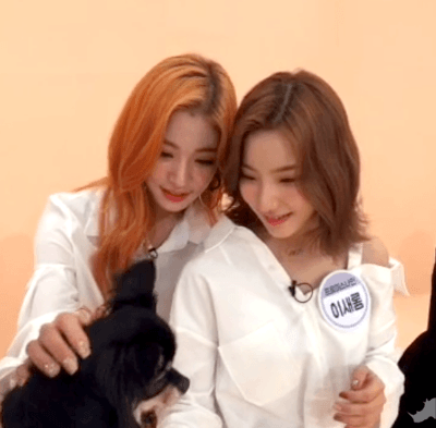아이돌룸 기습V앱 프로미스나인.GIF | 인스티즈