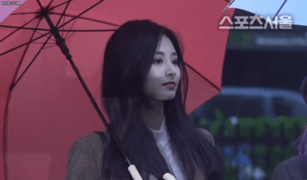 아침부터 미모 지붕킥 해버리는 트와이스 뮤뱅 출근길 짤 모음 ㄷㄷㄷㄷ | 인스티즈