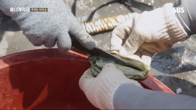 추자도 바위굴 먹는 트와이스 정연X다현.jpg | 인스티즈