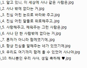 JYP 공식 팬즈에 올라온 트와이스 사나 생일 축하글과 파일명.jpg | 인스티즈
