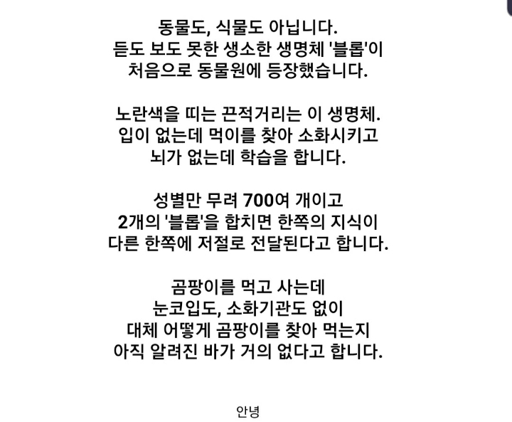 가생이닷컴에 올라온 블롭에 대한 댓글 반응들 ㅋㅋㅋ | 인스티즈