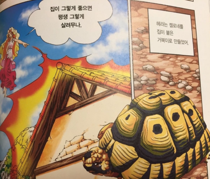 집순이의 최후.jpg | 인스티즈