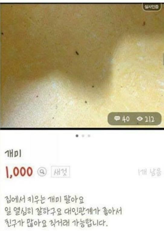 중고나라 모음.jpg | 인스티즈
