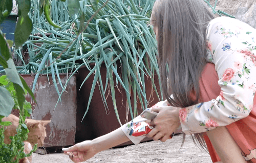 프로미스나인 걸어서 전주속으로.gif | 인스티즈