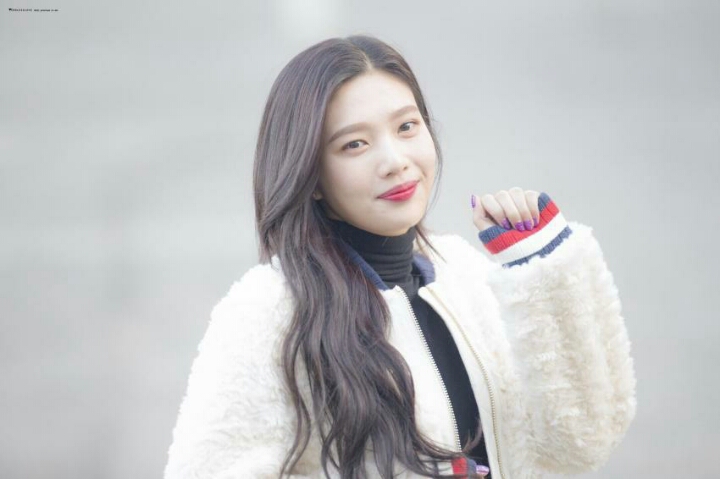 레드벨벳 조이사진 여러장 | 인스티즈