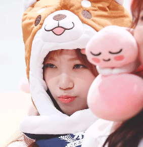 사진 정리하며 아이즈원 김채원 움짤 | 인스티즈