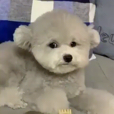 면접관 앞에서 억지 웃음 지을때.gif | 인스티즈