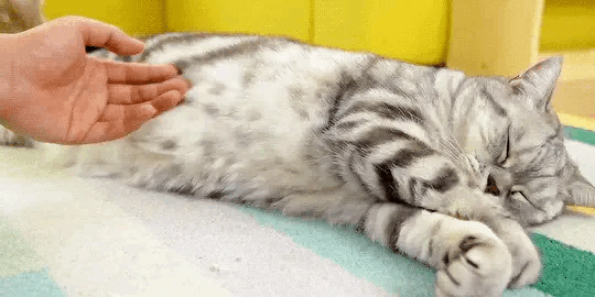 수리노을의 수리 | 인스티즈