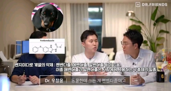 의사들이 말하는 펜벤다졸 | 인스티즈