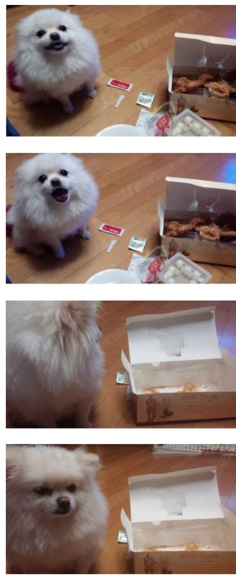 저도 치킨주세요.jpg | 인스티즈